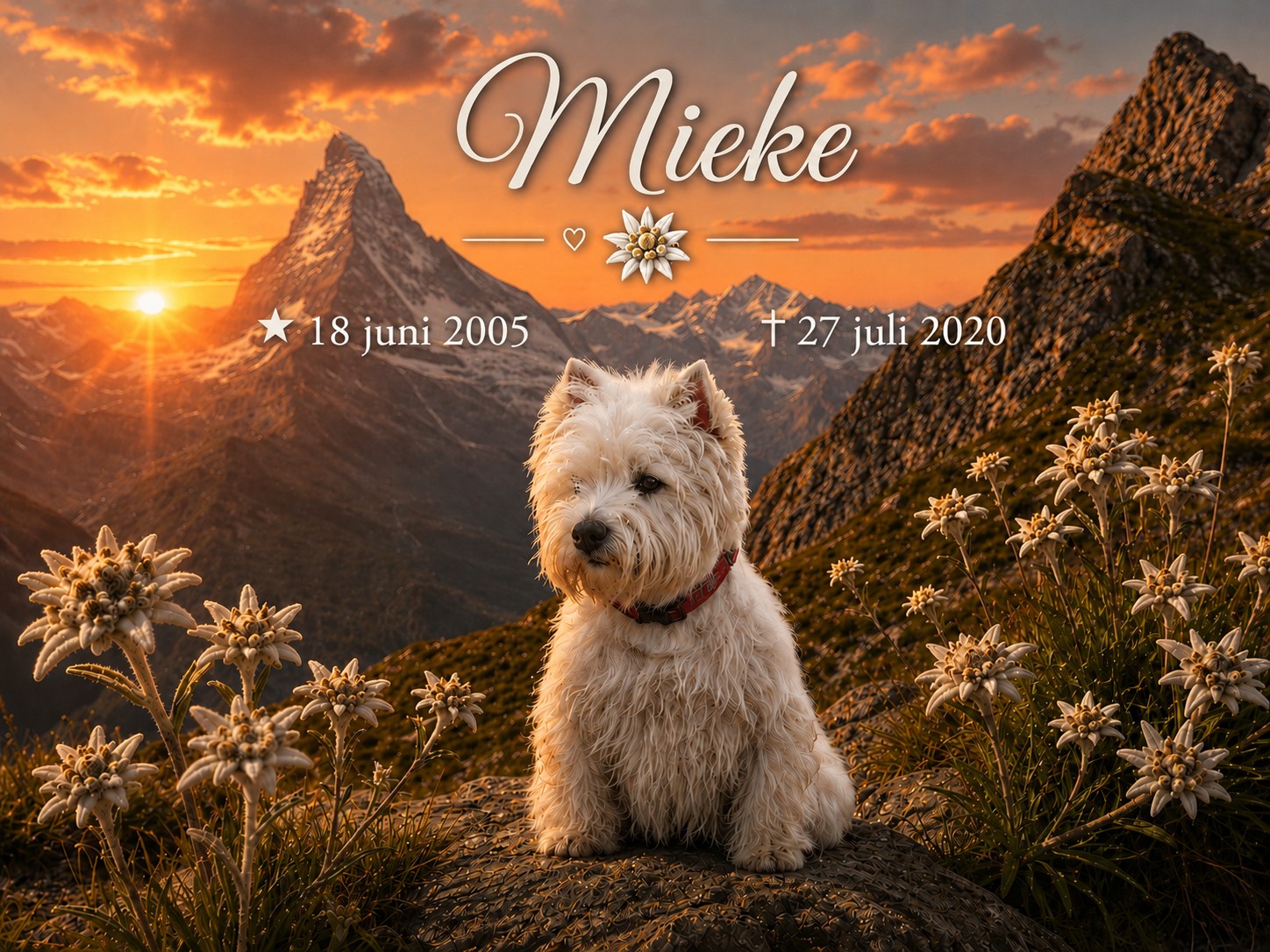 Mieke